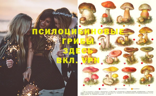 mdpv Баксан