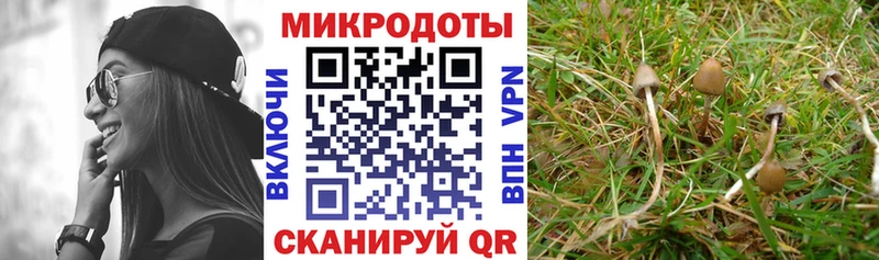 Галлюциногенные грибы Magic Shrooms  закладки  Зея 